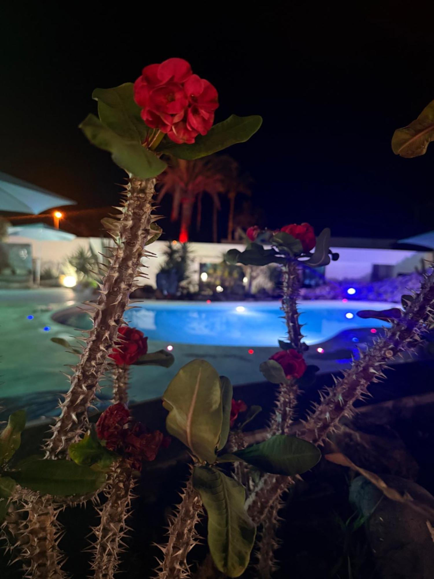 Paraiso Villas ปลายาปาไรโซ ภายนอก รูปภาพ